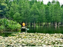 -白鹭湾湿地公园