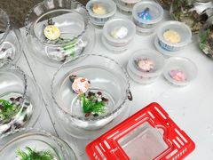 -青枫公园