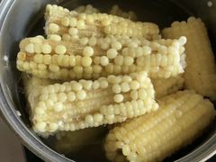 -前小桔亲子创意农场·草莓采摘·露营烧烤