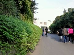 -南京西康宾馆