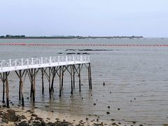 -北海金海湾红树林生态旅游区
