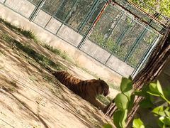 -秦皇岛野生动物园
