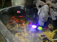 -富侨养生(康乾店)