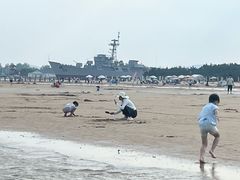 -日照海滨国家森林公园
