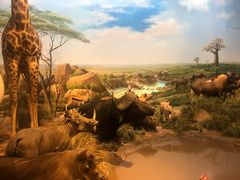 -陕西自然博物馆