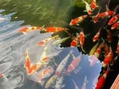 -香麒园·过桥米线·南湖雅宴