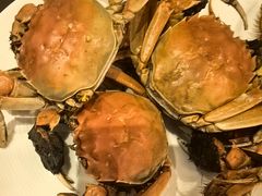 -视界美食自助餐厅·石家庄希尔顿酒店