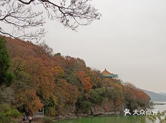真是新奇的体验鸭岛上的可看性不太高