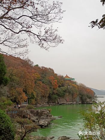 真是新奇的体验鸭岛上的可看性不太高