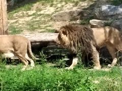 -北京野生动物园