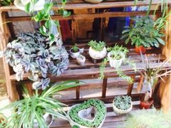 iphone_upload_pic-荷言旗袍(平江店)