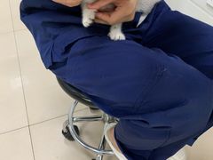 -佳雯宠物医院(金华南路分院)