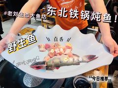 -老刘生态大鱼坊铁锅炖鱼(赛马场店)
