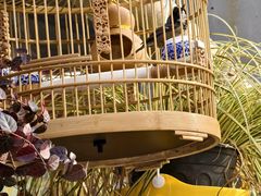 -汉堡王(歌斐中心店)