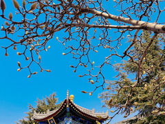 -西安市广仁寺