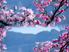 -九皇山景区