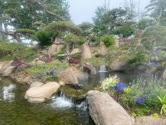 -罗红摄影艺术馆