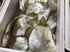 -胜海大排档·海鲜·黄鳝饭(十年老店)