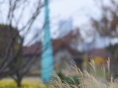 -秦皇岛路游船码头