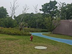 -尚贤河湿地