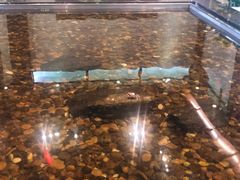 -上海怡沁园度假酒店