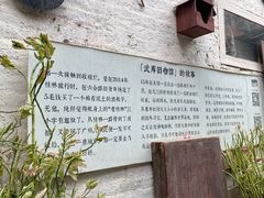 -小洲村
