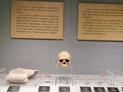 -柳州博物馆