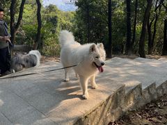 -火炉山森林公园