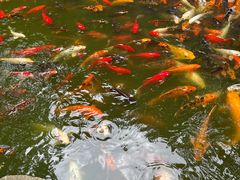 -天河潭旅游度假区