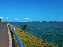 -漕湖湿地公园