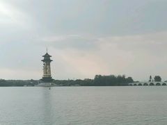 -溱湖国家湿地公园