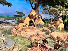 -国家自然博物馆