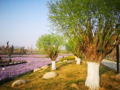 -汉长安城未央宫国家考古遗址公园