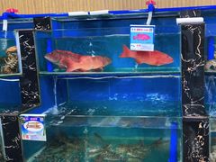 水产区-君港海鲜(三亚湾店)