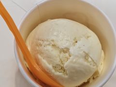 -iceason爱茜茜里·意大利健康冰淇淋(骑龙巷店)
