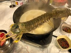 -鲜入围煮花胶鸡海鲜火锅