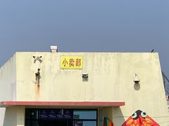 -南汇嘴观海公园