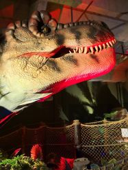 -恐龙探索乐园(磁器口店)