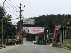 -铁山坪森林公园