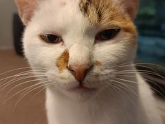 -转山咖啡(松柏社区店)