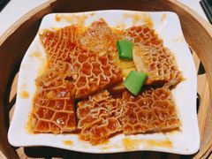 -点都德·毕德寮