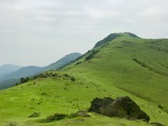 -大姆山草场
