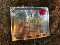 -杨家堂村