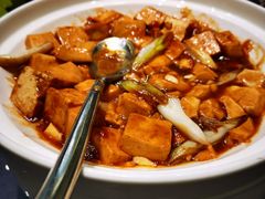 -丁老爷子苏香圆