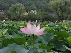 -三国水浒景区(无锡影视基地)