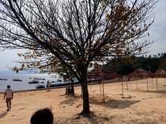 -抚仙湖禄充风景区