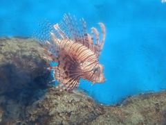 -福州罗源湾海洋世界旅游区