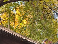 -嵩祝寺及智珠寺