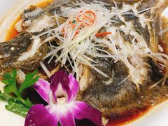 -刘胖子家常菜·蹄花焖藕(富安街店)