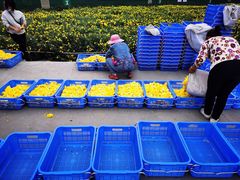 -中国天府农业博览园